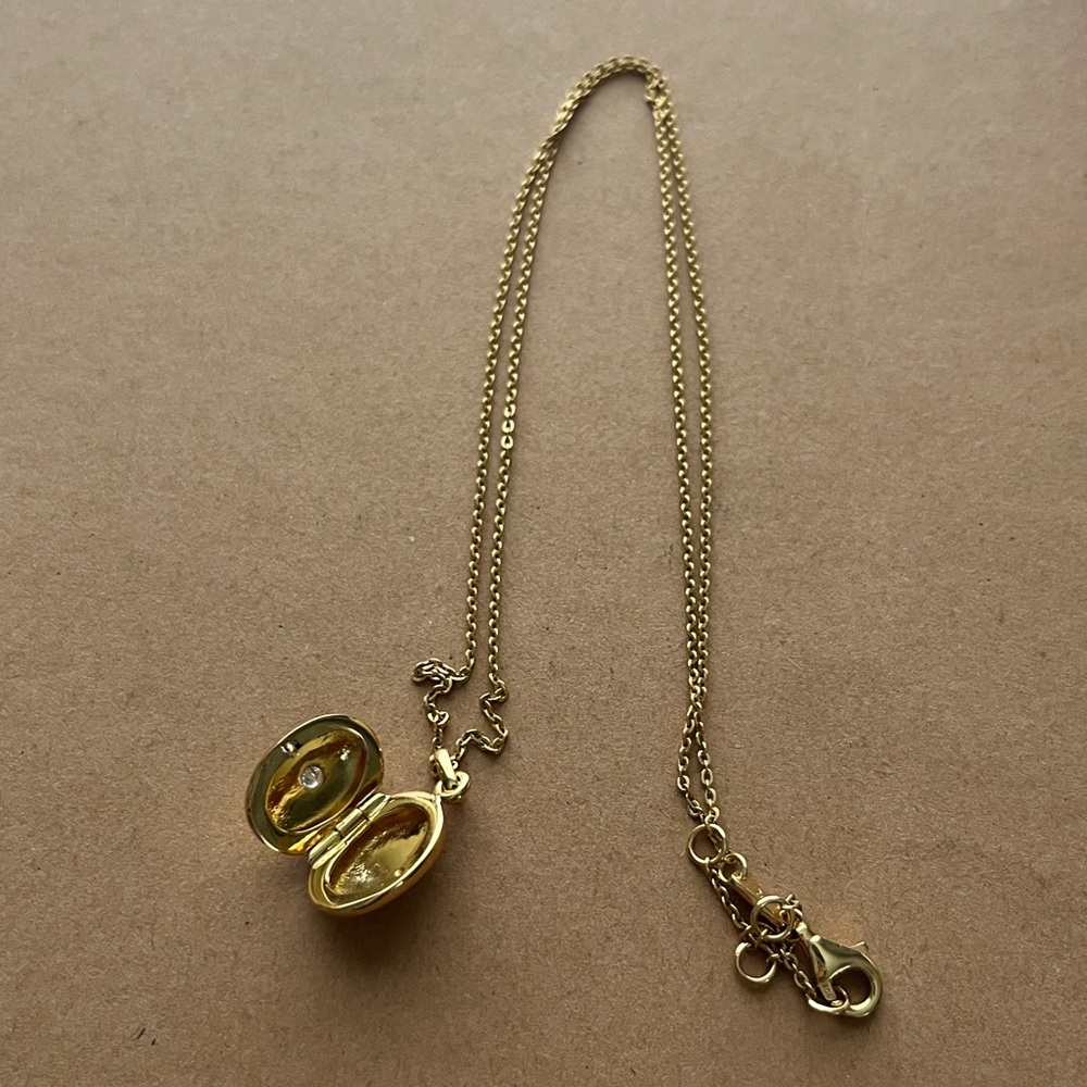 Madewell Demi-Fine Oval Locket Necklace - Picture 5 of 8